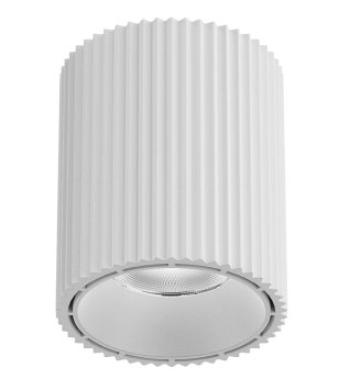 Surface Cylinder Spotlight 12W